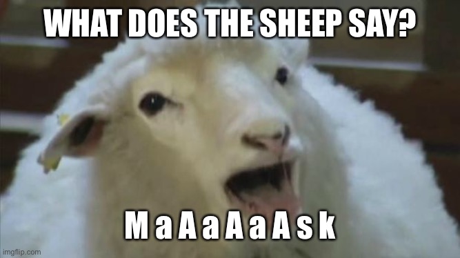 Don't be a sheeple! | WHAT DOES THE SHEEP SAY? M a A a A a A s k | image tagged in derp sheep,sheeple,mask,face mask,unmasked | made w/ Imgflip meme maker