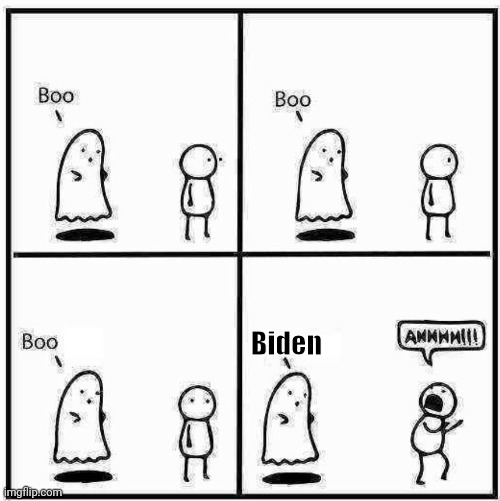 Ghost Boo | Biden | image tagged in ghost boo | made w/ Imgflip meme maker