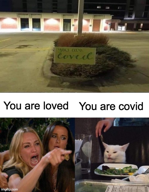 Well well well.... | You are loved; You are covid | image tagged in memes,woman yelling at cat,lol,covid | made w/ Imgflip meme maker
