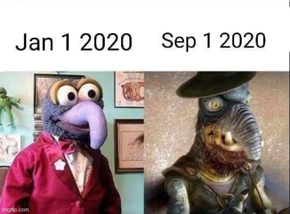 pog | image tagged in funny,funny meme,memes,muppets,lmao | made w/ Imgflip meme maker