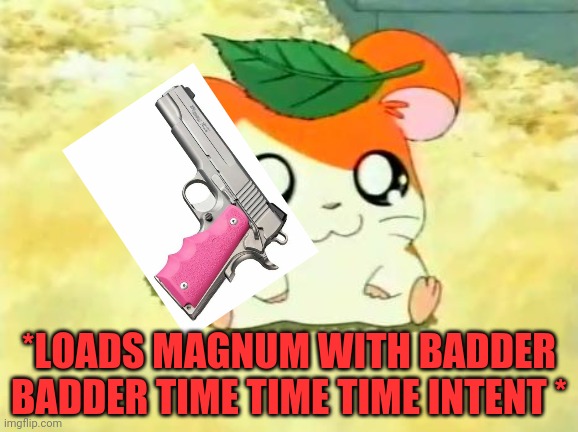 Hamtaro Meme | *LOADS MAGNUM WITH BADDER BADDER TIME TIME TIME INTENT * | image tagged in memes,hamtaro | made w/ Imgflip meme maker