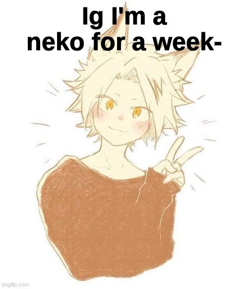 Why did I agree to this lmao- | Ig I'm a neko for a week- | made w/ Imgflip meme maker