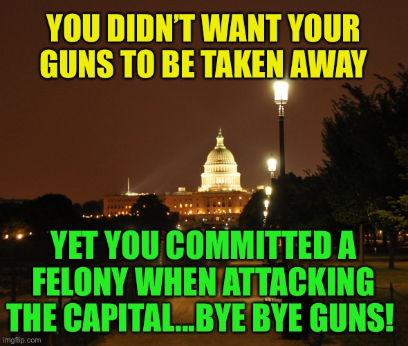 Washington DC night | YOU DIDN’T WANT YOUR  GUNS TO BE TAKEN AWAY; YET YOU COMMITTED A FELONY WHEN ATTACKING THE CAPITAL...BYE BYE GUNS! | image tagged in washington dc night | made w/ Imgflip meme maker