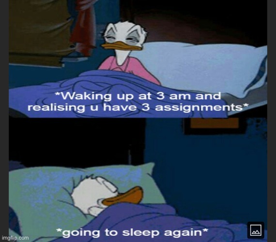 image tagged in meme,funny,funny memes,relatable,true,donald duck | made w/ Imgflip meme maker