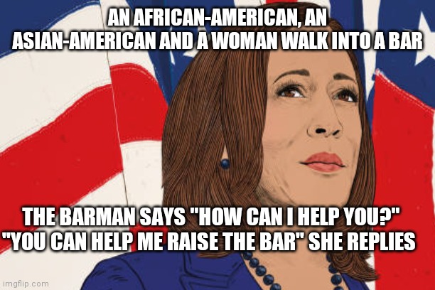 Kamala Harris meme | AN AFRICAN-AMERICAN, AN ASIAN-AMERICAN AND A WOMAN WALK INTO A BAR; THE BARMAN SAYS "HOW CAN I HELP YOU?" "YOU CAN HELP ME RAISE THE BAR" SHE REPLIES | image tagged in memes,politics,kamala harris | made w/ Imgflip meme maker