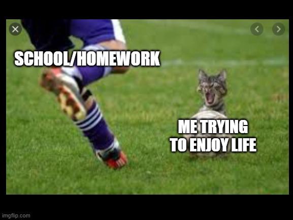 it be true tho | SCHOOL/HOMEWORK; ME TRYING TO ENJOY LIFE | image tagged in life sucks | made w/ Imgflip meme maker
