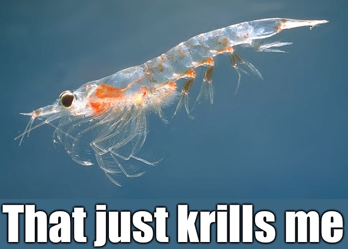 Krillin’ It | That just krills me | image tagged in funny memes,bad puns,eyeroll | made w/ Imgflip meme maker