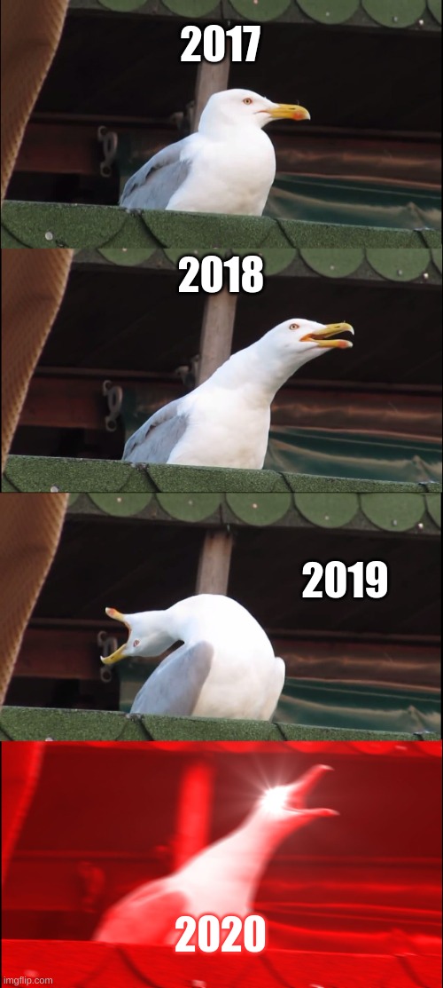 Inhaling Seagull Meme | 2017; 2018; 2019; 2020 | image tagged in memes,inhaling seagull | made w/ Imgflip meme maker