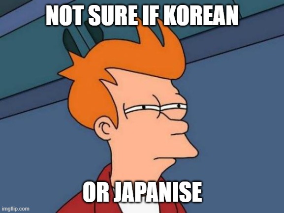 me after mizing korean and japanise files in Soulworker | NOT SURE IF KOREAN; OR JAPANISE | image tagged in memes,futurama fry | made w/ Imgflip meme maker