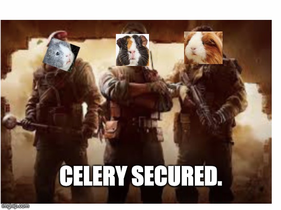 So I heard we're doing this now | CELERY SECURED. | image tagged in memes,rainbow six siege,guinea pig,funny memes | made w/ Imgflip meme maker