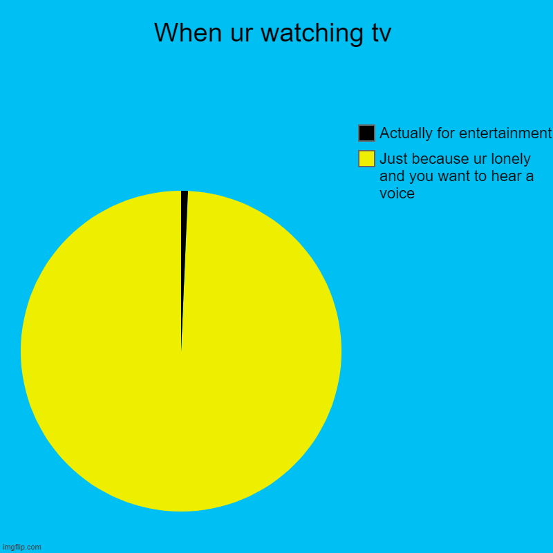 *Sad noises* | When ur watching tv | Just because ur lonely and you want to hear a voice, Actually for entertainment | image tagged in charts,pie charts | made w/ Imgflip chart maker