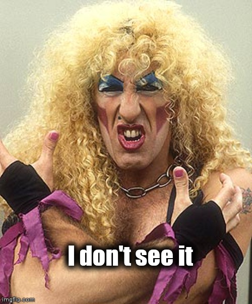 Dee Snider  | I don't see it | image tagged in dee snider | made w/ Imgflip meme maker