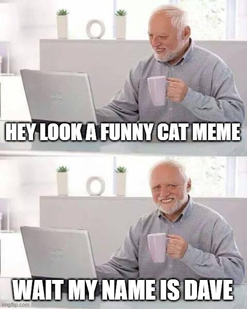 Hide the Pain Harold Meme | HEY LOOK A FUNNY CAT MEME WAIT MY NAME IS DAVE | image tagged in memes,hide the pain harold | made w/ Imgflip meme maker