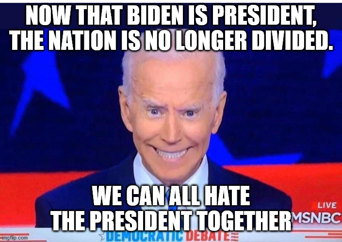 Creepy Joe | NOW THAT BIDEN IS PRESIDENT, THE NATION IS NO LONGER DIVIDED. WE CAN ALL HATE THE PRESIDENT TOGETHER | image tagged in biden,president | made w/ Imgflip meme maker