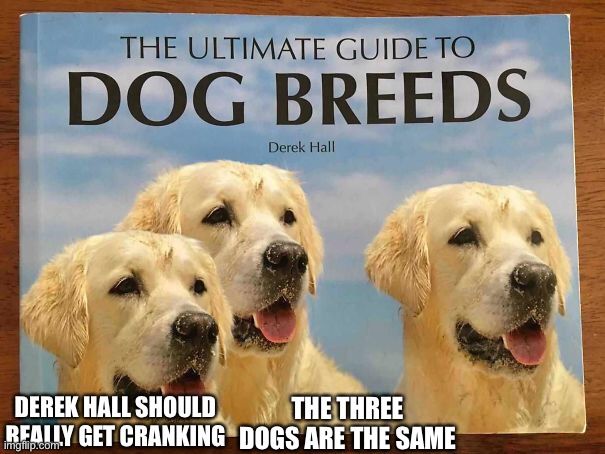 Oh well here we go again | THE THREE DOGS ARE THE SAME; DEREK HALL SHOULD REALLY GET CRANKING | image tagged in dogs | made w/ Imgflip meme maker