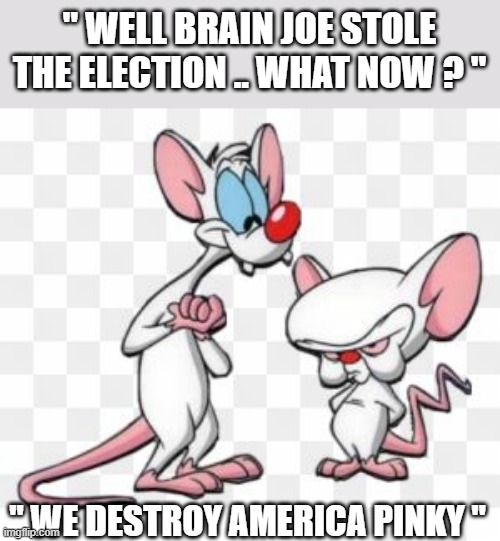 BIDEN | " WELL BRAIN JOE STOLE THE ELECTION .. WHAT NOW ? "; " WE DESTROY AMERICA PINKY " | image tagged in cartoon | made w/ Imgflip meme maker