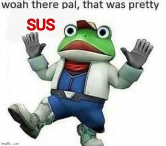 Woah there pal, that was pretty SUS | image tagged in woah there pal that was pretty sus | made w/ Imgflip meme maker