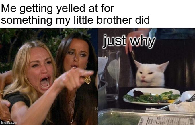 So true | Me getting yelled at for something my little brother did; just why | image tagged in memes,woman yelling at cat | made w/ Imgflip meme maker