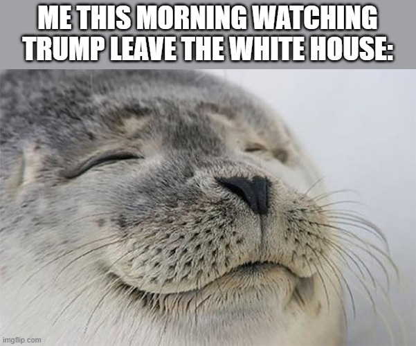 E | ME THIS MORNING WATCHING TRUMP LEAVE THE WHITE HOUSE: | image tagged in memes,satisfied seal | made w/ Imgflip meme maker