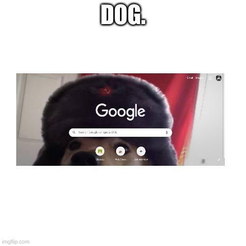 d o g p o s t | DOG. | image tagged in memes,blank transparent square | made w/ Imgflip meme maker