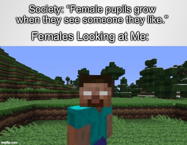 Me no cap | image tagged in minecraft | made w/ Imgflip meme maker