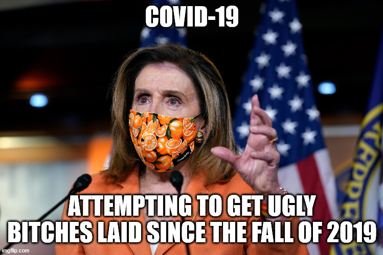 COVID-19; ATTEMPTING TO GET UGLY BITCHES LAID SINCE THE FALL OF 2019 | image tagged in nancy pelosi | made w/ Imgflip meme maker