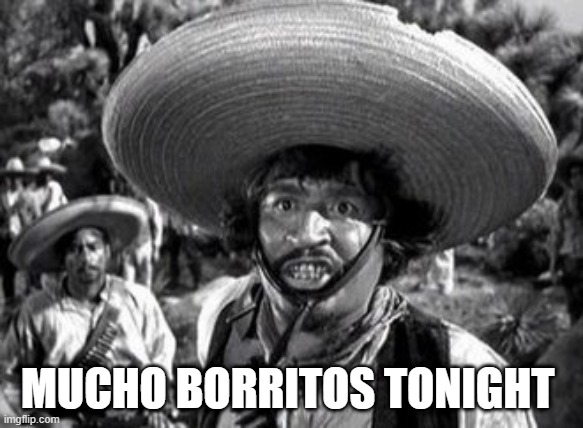 Barritos | MUCHO BORRITOS TONIGHT | image tagged in too much food | made w/ Imgflip meme maker
