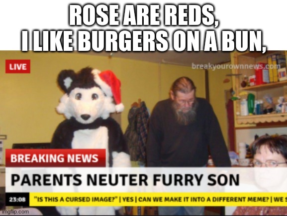 Roses are red...... | ROSE ARE REDS,
I LIKE BURGERS ON A BUN, | image tagged in wtf,roses are red | made w/ Imgflip meme maker