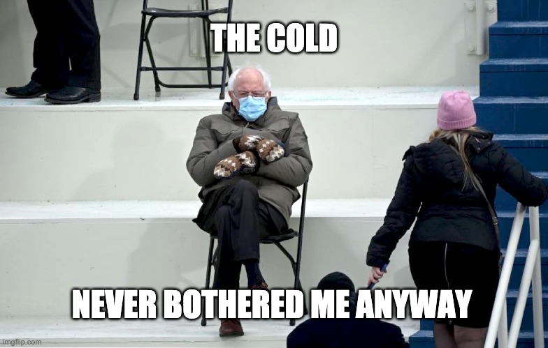 He's Frozen | THE COLD; NEVER BOTHERED ME ANYWAY | image tagged in bernie mittens | made w/ Imgflip meme maker