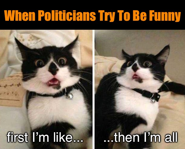 That’s Not Very Funny | When Politicians Try To Be Funny; ...then I’m all; first I’m like... | image tagged in reactions of a black and white cat,funny cat memes | made w/ Imgflip meme maker