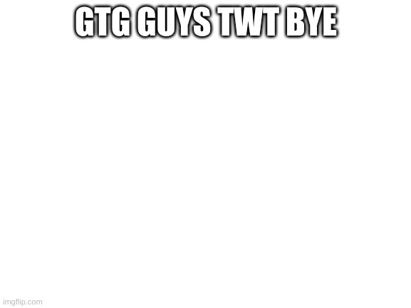 Blank White Template | GTG GUYS TWT BYE | image tagged in blank white template | made w/ Imgflip meme maker