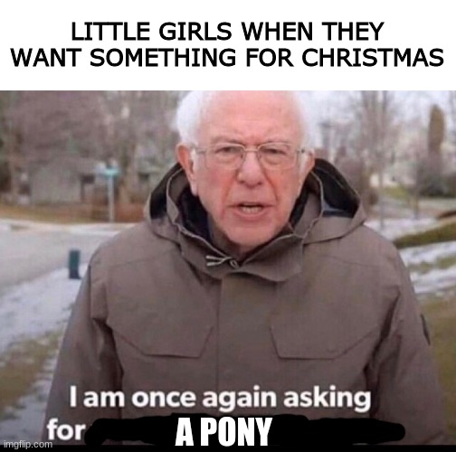 bernie sanders financial support | LITTLE GIRLS WHEN THEY WANT SOMETHING FOR CHRISTMAS; A PONY | image tagged in bernie sanders financial support | made w/ Imgflip meme maker