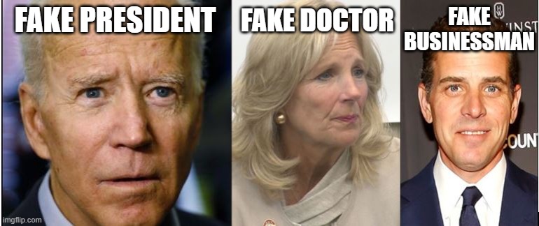 Fake Bidens | FAKE BUSINESSMAN; FAKE DOCTOR; FAKE PRESIDENT | image tagged in fake,biden | made w/ Imgflip meme maker