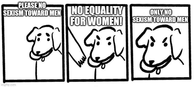 No Take, Only Throw | PLEASE NO SEXISM TOWARD MEN; NO EQUALITY FOR WOMEN! ONLY NO SEXISM TOWARD MEN | image tagged in no take only throw | made w/ Imgflip meme maker