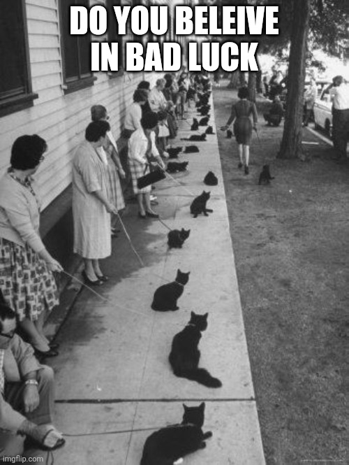 that's a lot bad luck | DO YOU BELEIVE IN BAD LUCK | image tagged in grumpy cat | made w/ Imgflip meme maker