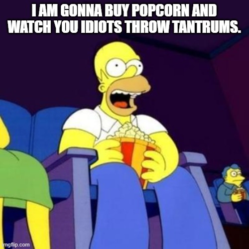 Homer eating popcorn | I AM GONNA BUY POPCORN AND WATCH YOU IDIOTS THROW TANTRUMS. | image tagged in homer eating popcorn | made w/ Imgflip meme maker