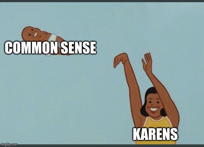 baby yeet | COMMON SENSE; KARENS | image tagged in baby yeet | made w/ Imgflip meme maker