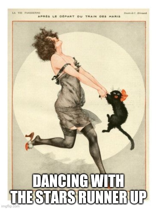 vintage | DANCING WITH THE STARS RUNNER UP | image tagged in crazy cat lady | made w/ Imgflip meme maker