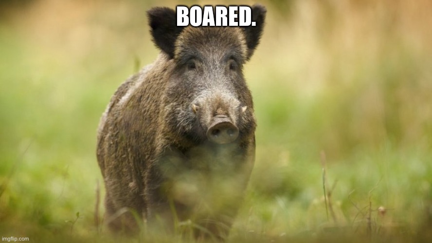 Why do I miss out a lot of shit? | BOARED. | made w/ Imgflip meme maker