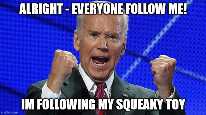Joe Biden fists angry | ALRIGHT - EVERYONE FOLLOW ME! IM FOLLOWING MY SQUEAKY TOY | image tagged in joe biden fists angry | made w/ Imgflip meme maker