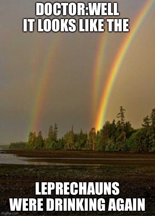 DOCTOR:WELL IT LOOKS LIKE THE; LEPRECHAUNS WERE DRINKING AGAIN | image tagged in leprechaun | made w/ Imgflip meme maker