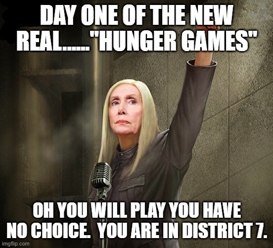 Nancy Pelosi Dictator | DAY ONE OF THE NEW REAL......"HUNGER GAMES"; OH YOU WILL PLAY YOU HAVE NO CHOICE.  YOU ARE IN DISTRICT 7. | image tagged in nancy pelosi dictator | made w/ Imgflip meme maker