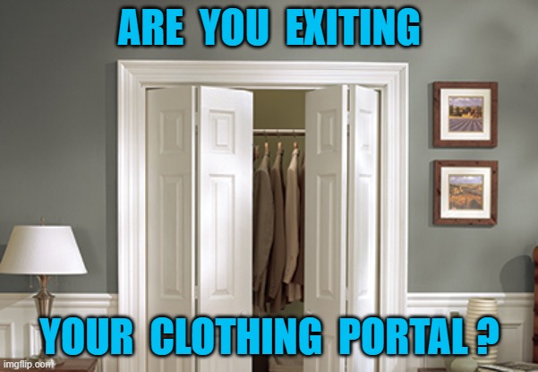 coming out | ARE  YOU  EXITING; YOUR  CLOTHING  PORTAL ? | image tagged in coming out | made w/ Imgflip meme maker