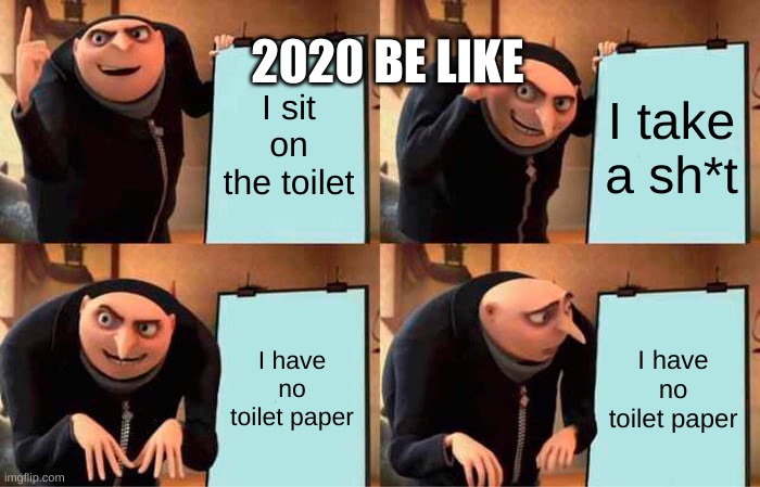 Why 2020 sucked | 2020 BE LIKE; I sit on the toilet; I take a sh*t; I have no toilet paper; I have no toilet paper | image tagged in memes,gru's plan | made w/ Imgflip meme maker