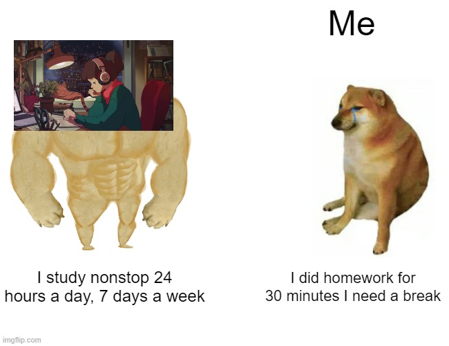 Seriously the stream never stops | Me; I study nonstop 24 hours a day, 7 days a week; I did homework for 30 minutes I need a break | image tagged in memes,buff doge vs cheems | made w/ Imgflip meme maker