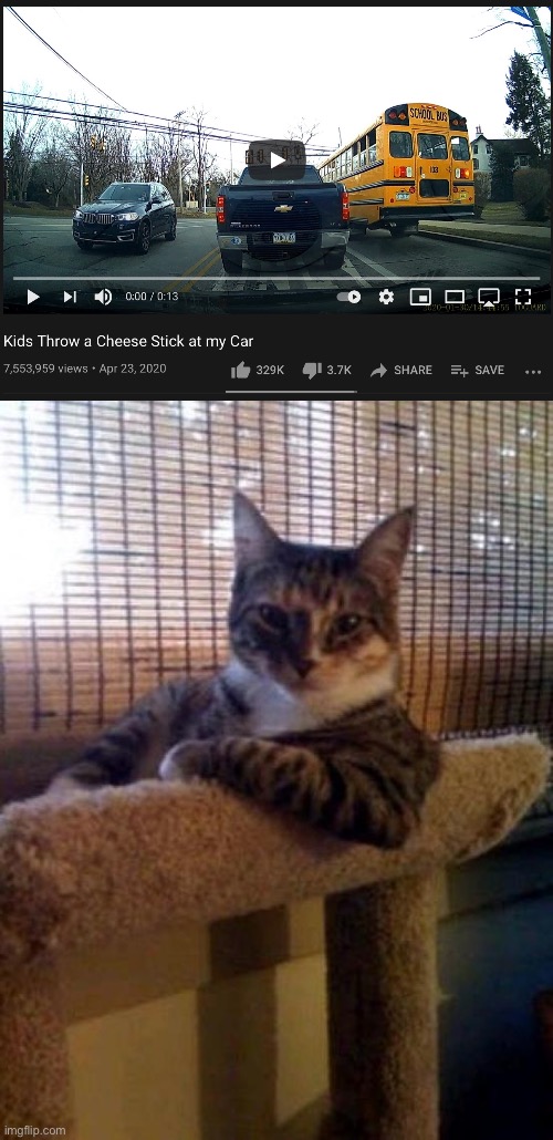 Cat-itis | image tagged in memes,the most interesting cat in the world | made w/ Imgflip meme maker