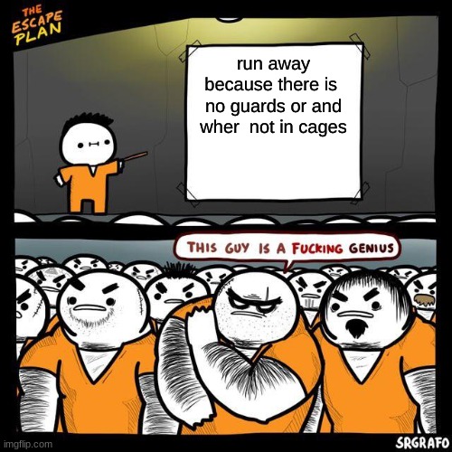 escape da jail | run away because there is  no guards or and wher  not in cages | image tagged in the escape plan | made w/ Imgflip meme maker