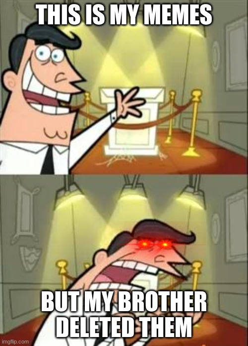 My Memes Have Been Deleted | THIS IS MY MEMES; BUT MY BROTHER DELETED THEM | image tagged in memes,this is where i'd put my trophy if i had one | made w/ Imgflip meme maker