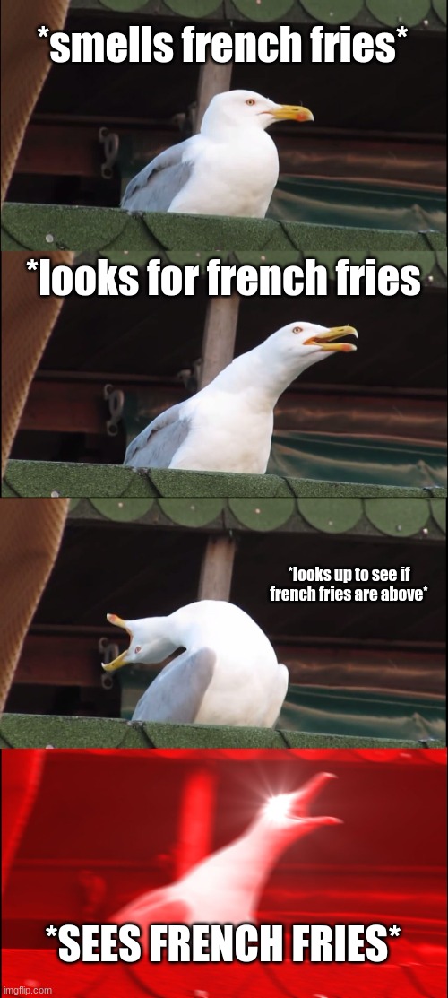 Inhaling Seagull Meme | *smells french fries*; *looks for french fries; *looks up to see if french fries are above*; *SEES FRENCH FRIES* | image tagged in memes,inhaling seagull | made w/ Imgflip meme maker