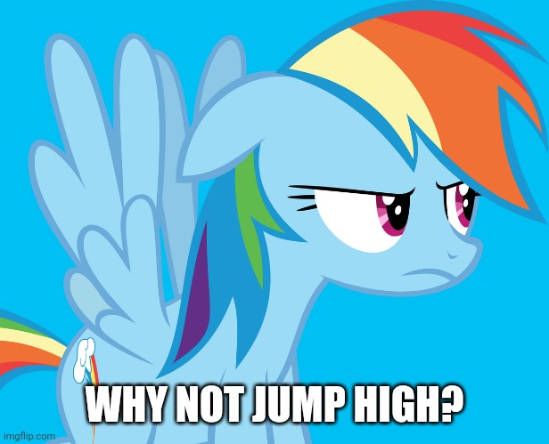 Annoyed Rainbow Dash (MLP) | WHY NOT JUMP HIGH? | image tagged in annoyed rainbow dash mlp | made w/ Imgflip meme maker